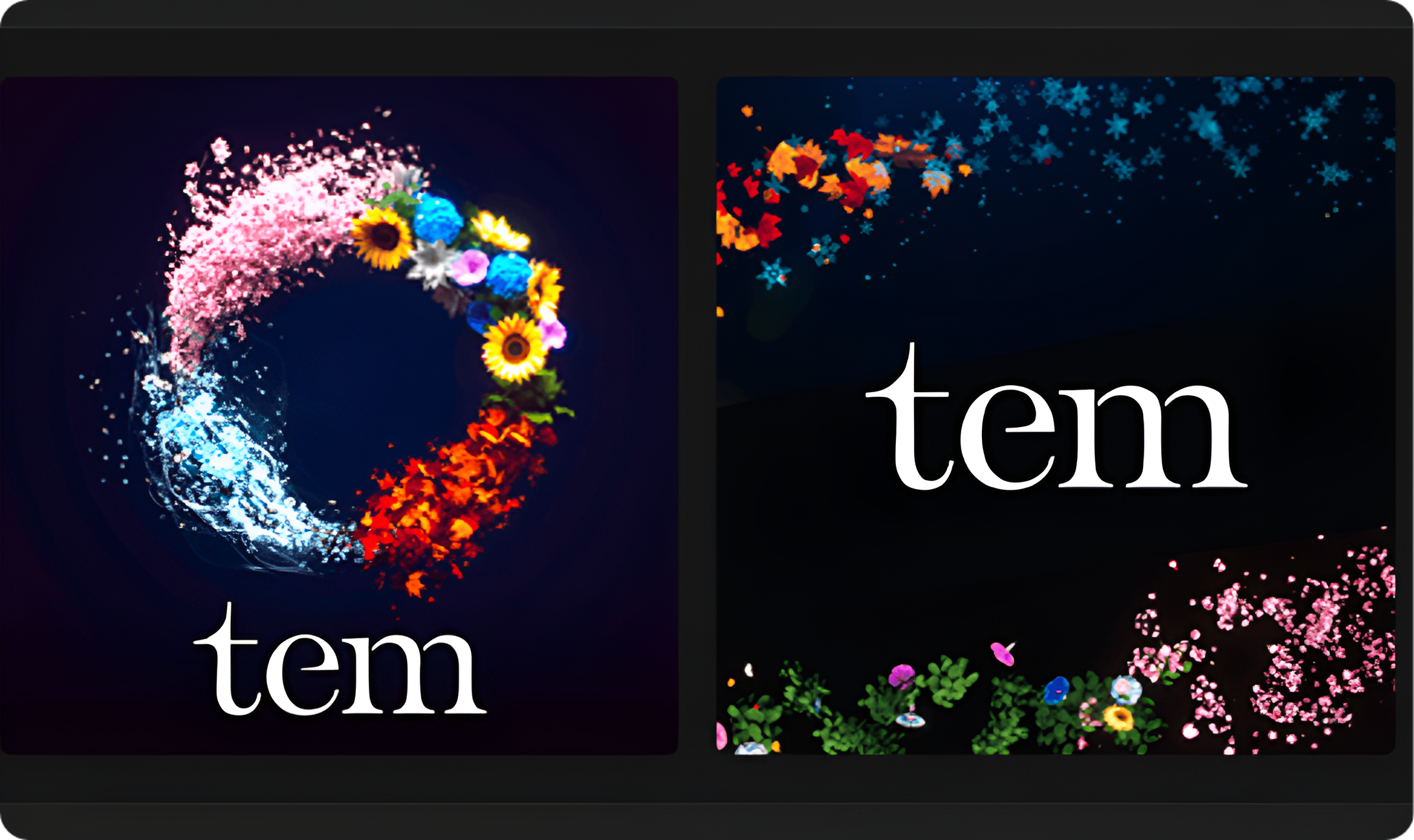 TEM – Experiential Museum Website (CloudFront Deployment)